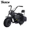 Track Seven 36V Powered Motorcycle for Kids, 1000W Electric Kids Dirt Bike,Max Speed to 22 MPH, Electric Mini Bike with Large Storage, Headlights, Up to 185lbs, Age 8+