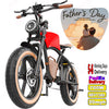 Hidoes B10 Electric Mountain Bike for Men/Woman 1000W Adult Electric Bicycle 20" Fat Tire Off Road E-bike with Removable Battery up to 28 mph,Free Shipping, Red