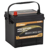 Anlibatt Platinum AGM Group 35 Battery, 12 Volt 650 CCA 55Ah 100RC Rechargeable Automotive Batteries for Car