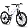 Raistyw Mountain Bikes for Adult, 24 inch Womens Bicycle Shimano 21 Speed with Dual Disc Brakes, Pink