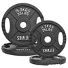 FlexWave 2-Hole Cast Iron Weight Plate Set, 110LB–230LB, Strength Training Plates for Home Gym