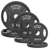 FlexWave 2-Hole Cast Iron Weight Plate Set, 110LB–230LB, Strength Training Plates for Home Gym