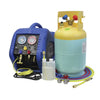 Mastercool 69110 115V Automotive A/C Recovery Unit Kit