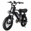 AVDL Electric Bike,16" Fat Tire Ebike,500W Motor,48V 12Ah Removable Battery,4x Suspension,38 Miles Pure Electric,55 Miles Pedal
