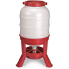 Little Giant Plastic Dome Poultry Feeder 60 Lbs.