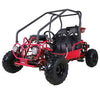 Tao Tao GK110 110cc Gas Go-Kart Youth Automatic with Reverse Red