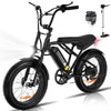 COLORWAY 750W 20"x4.0 Fat Tire Electric Bike, 48V 15Ah Battery, Off-road E-Bike for Adults, UL2849 Certified