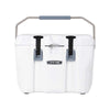 Lifetime 28 qt Bear-Resistant Camping Cooler, Premium High Performance, Ice Retention, Hard Cooler, 20 Can Capacity, Boulder Gray (91289)