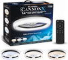 CannonX 14�� Low Profile Ceiling Fans with Lights and Remote, Modern Fandelier Ceiling Fan with Light, 6 Speeds, 3 Lighting Modes 3500K-5500K, Flush Mount for Bedroom, LED 2200 Lumens