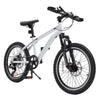 Ktaxon 20" Mountain Bike, 7 Speed Bike with Disc Brakes, Black