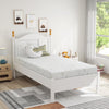 6 inch Twin Mattress in a Box,Memory Foam Mattress with Bamboo Cover,Made in USA
