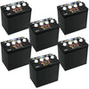 Crown Deep Cycle Flooded Battery 8 V GC8 Top Post