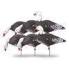 GHG Decoy Systems Pro-Grade Full Body Blue Goose Harvester Pack, Decoy 6 Pack