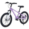 Zukka 20 inch Kids Mountain Bike Steel Frame Hardtail Bicycle for Child Aged 7-10 Years Pink