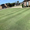 Outsidepride Yukon Bermuda Grass Seed - 5 lbs Cold & High Traffic Tolerant, Premium Hybrid Bermuda Turf Grass Seeds for Lawn, Ideal Low Maintenance Seed Grass for Colder & Challenging Area