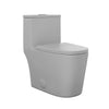 Dreux One Piece Elongated Dual Flush Toilet with 0.95/1.26 GPF in Matte Black
