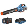 SENIX X6 60V Max* Brushless Cordless Leaf Blower with 4.0 Ah Battery and Charger, Variable Speed Up to 810CFM 170MPH, BLAX6-M1