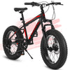 Ecarpat 20 Inch Fat Tire Kids Mountain Bike Shimano 7 Speed Dual Disc Front Suspension Bicycle for Boys Girls.