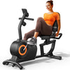 Yosuda Recumbent Exercise Bike for Senior for Home with 350lbs Capacity