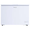 Professional Series 10 Cu Ft Chest Freezer, Manual Defrost, White