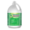 Bed Bug Killer, Lice, Roach, Flea, and Tick Residual Treatment and Preventer, 1 Gallon